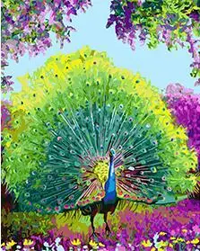 MaHuaf-X1597 peacock spread tail feathers Coloring picture by numbers with acrylic paints on canvas for living room decor 