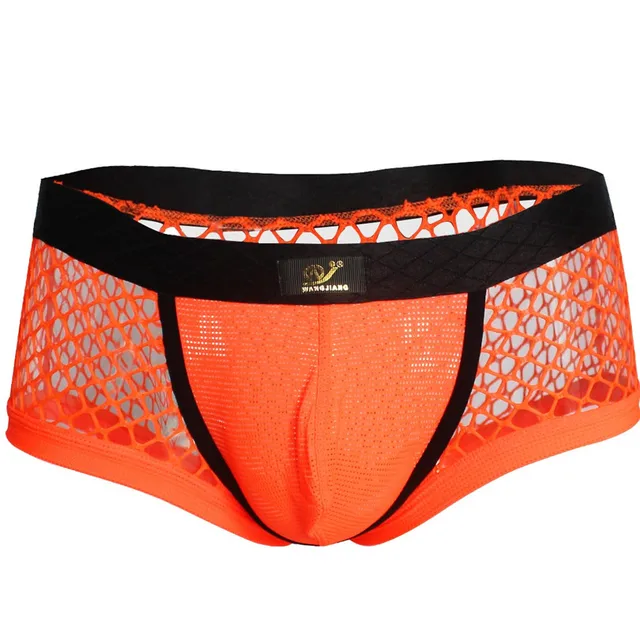 Buy New summer Mens Sexy Openwork Mesh Bikini