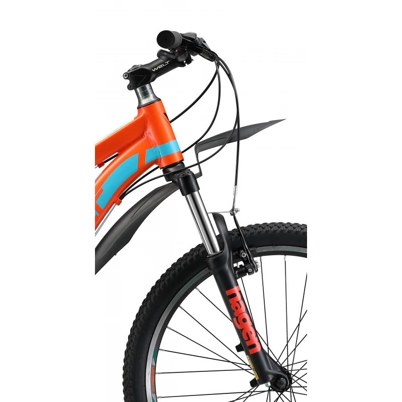 Adolescence bike Welt Peak 24