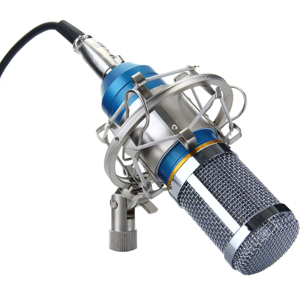 

Condenser Microphone Mic Sound Studio Recording Equipment Audio Cable Combo