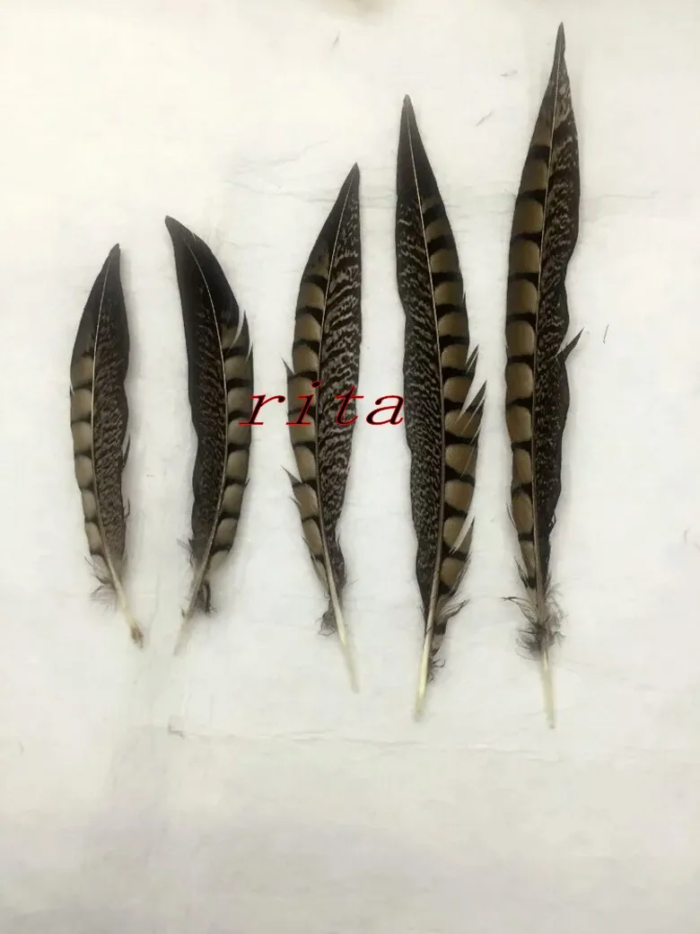 100pcs15-20cm 6-8 дюймов Амхерст перья фазана натуральных перьев Плюм основная перо украшения