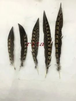 

Free shipping 100pcs15-20cm 6-8inch amherst pheasant feathers natural feathers plume bulk feather decoration