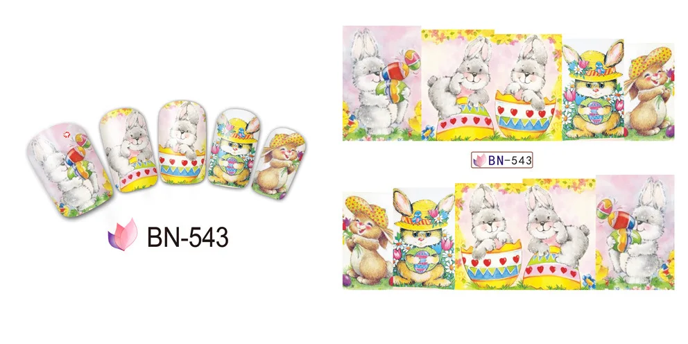 BN543