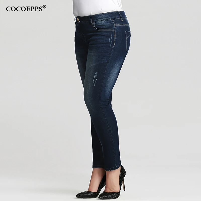 COCOEPPS13