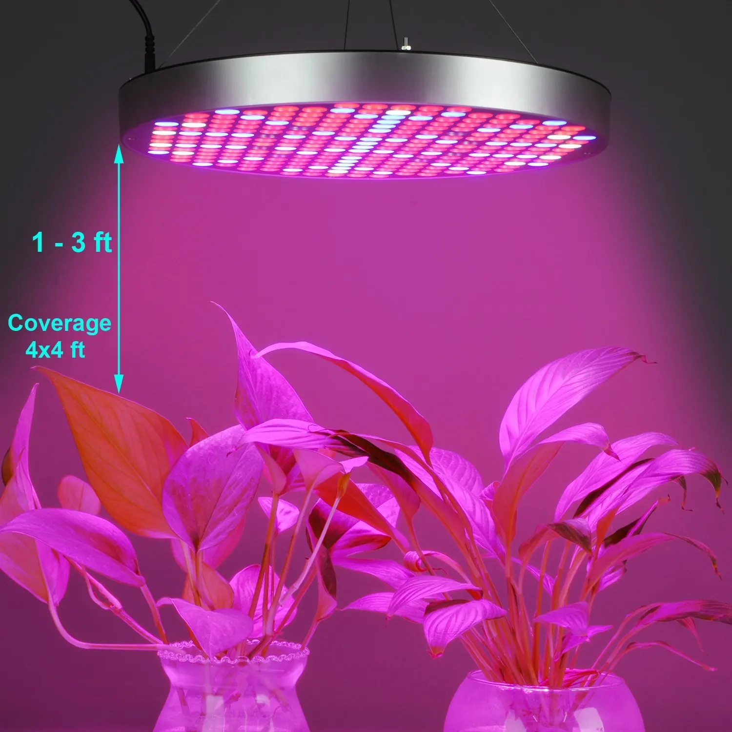 50 W полный спектр Панель светодиодный светать AC85 ~ 265 V парниковых садоводство растет лампы для внутреннего цветение растений роста
