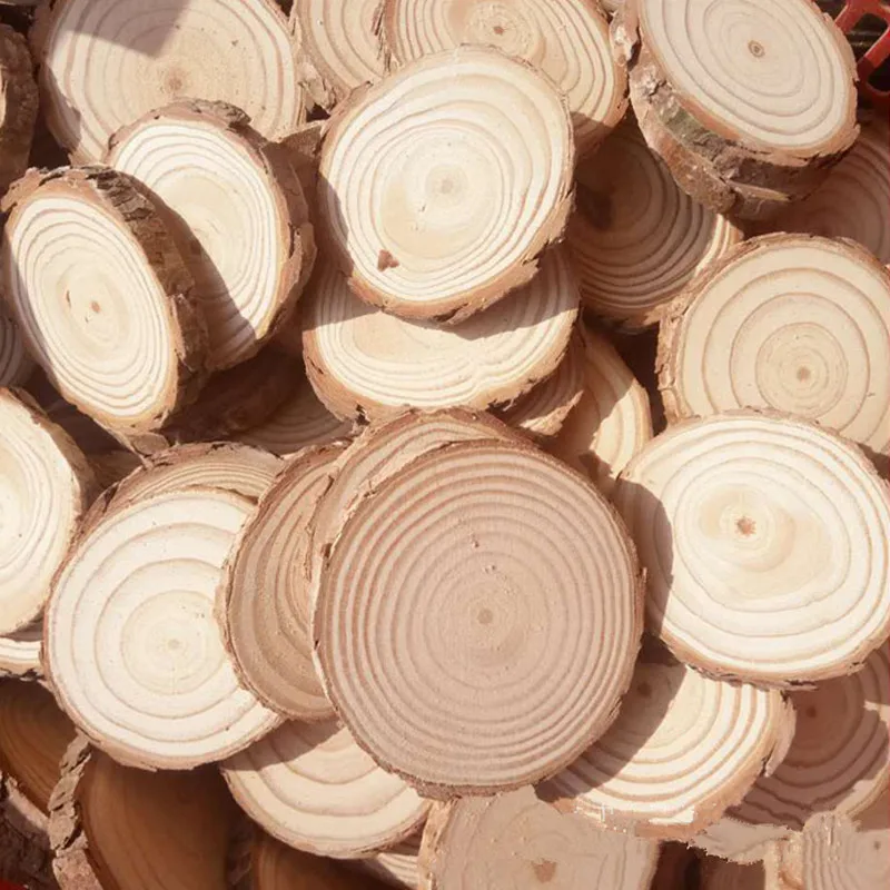 

5pcs Unfinished Natural Round Wood Slices Circles With Tree Bark Log Discs for DIY Crafts Wedding Party Painting