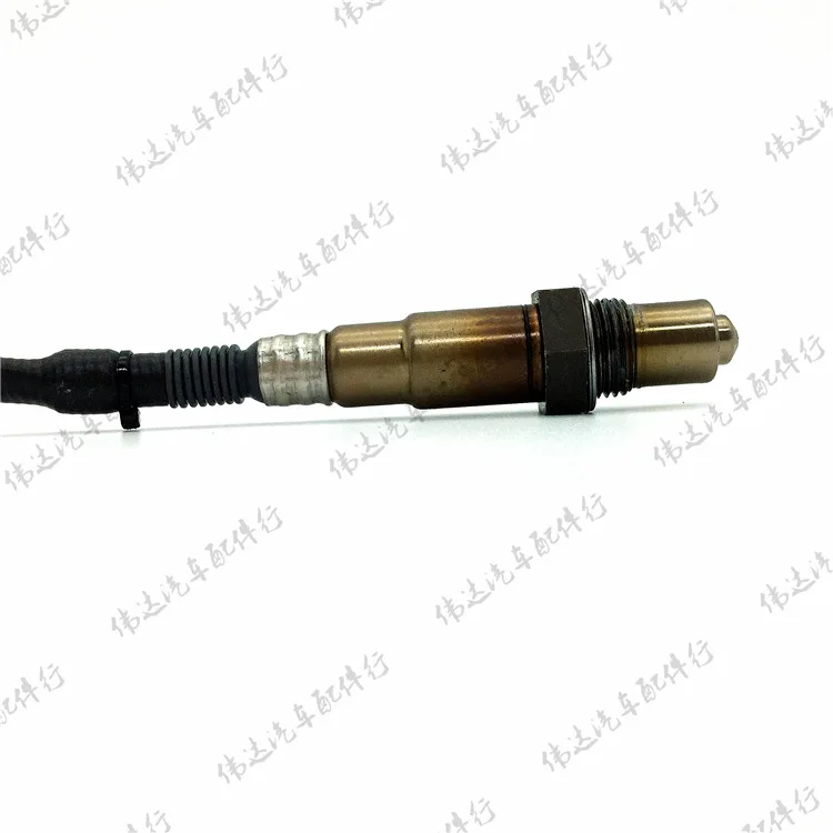 4441119453_1551743924