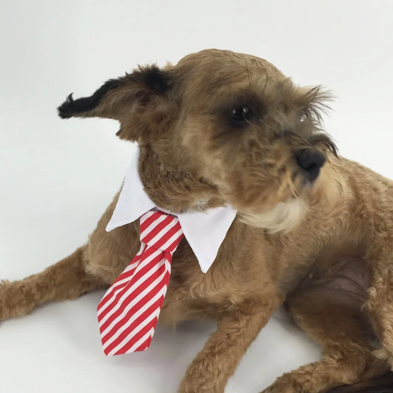 

Cat Dog Accessories Neck Decoration Supplies Shirt Collar Dog Costume Polyester Plus Cotton Fabric Washable Pet Scarf Bow Ties