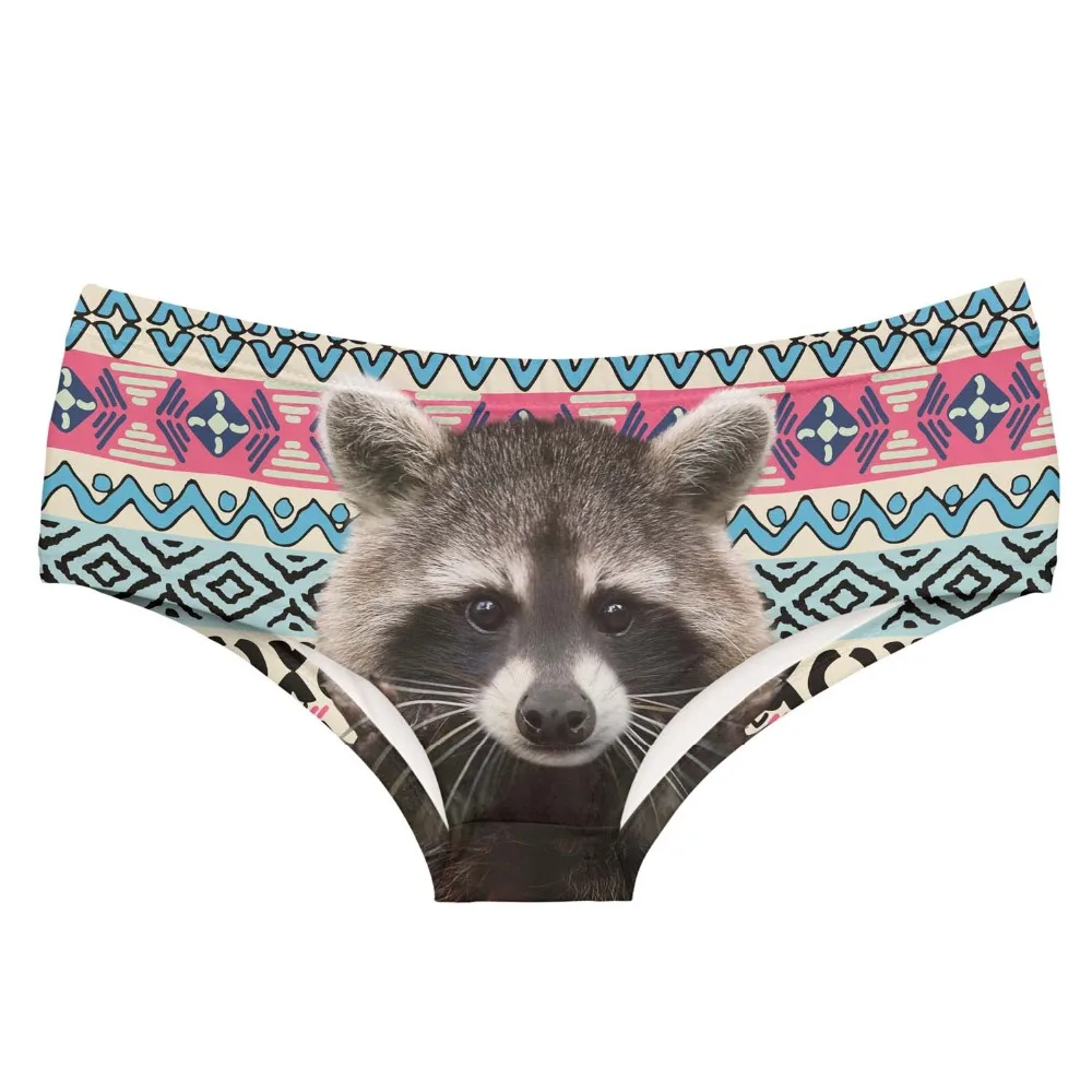 35006 racoon aztec (3)