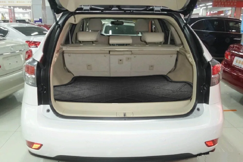 RX300 