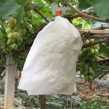 

100pcs Nursery Plant Grow Bags Biodegradable Non-woven Fruits Nursery Bags Plant Grow Bags Fabric Seedling Pots 240mm X 350mm
