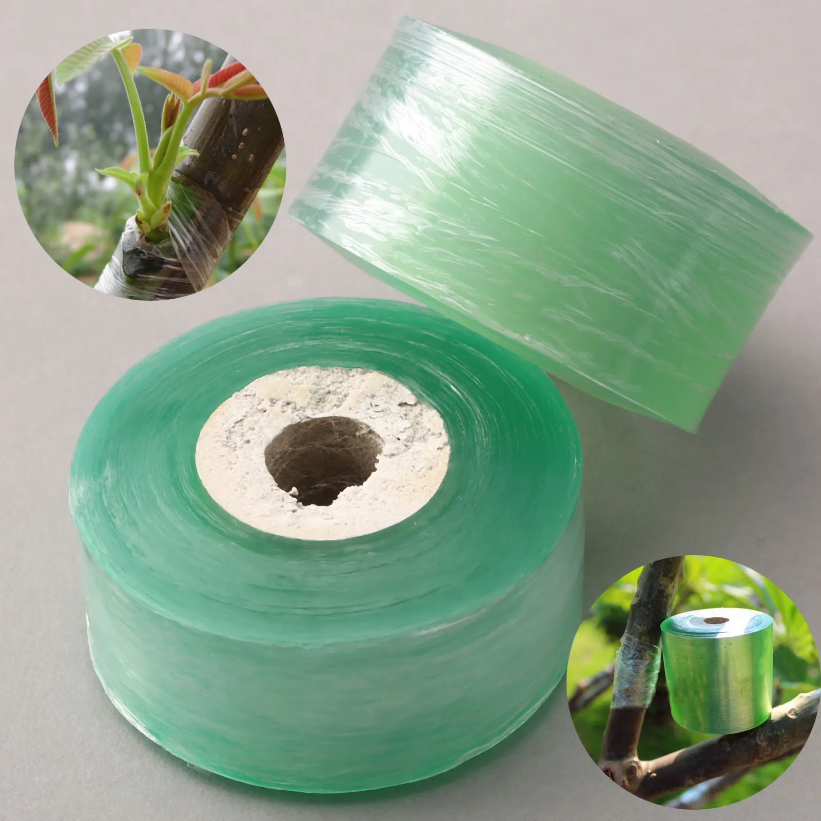 DRELD 2.5CM x 80M Nursery Fruit Tree Roll Grafting Tape Stretchable