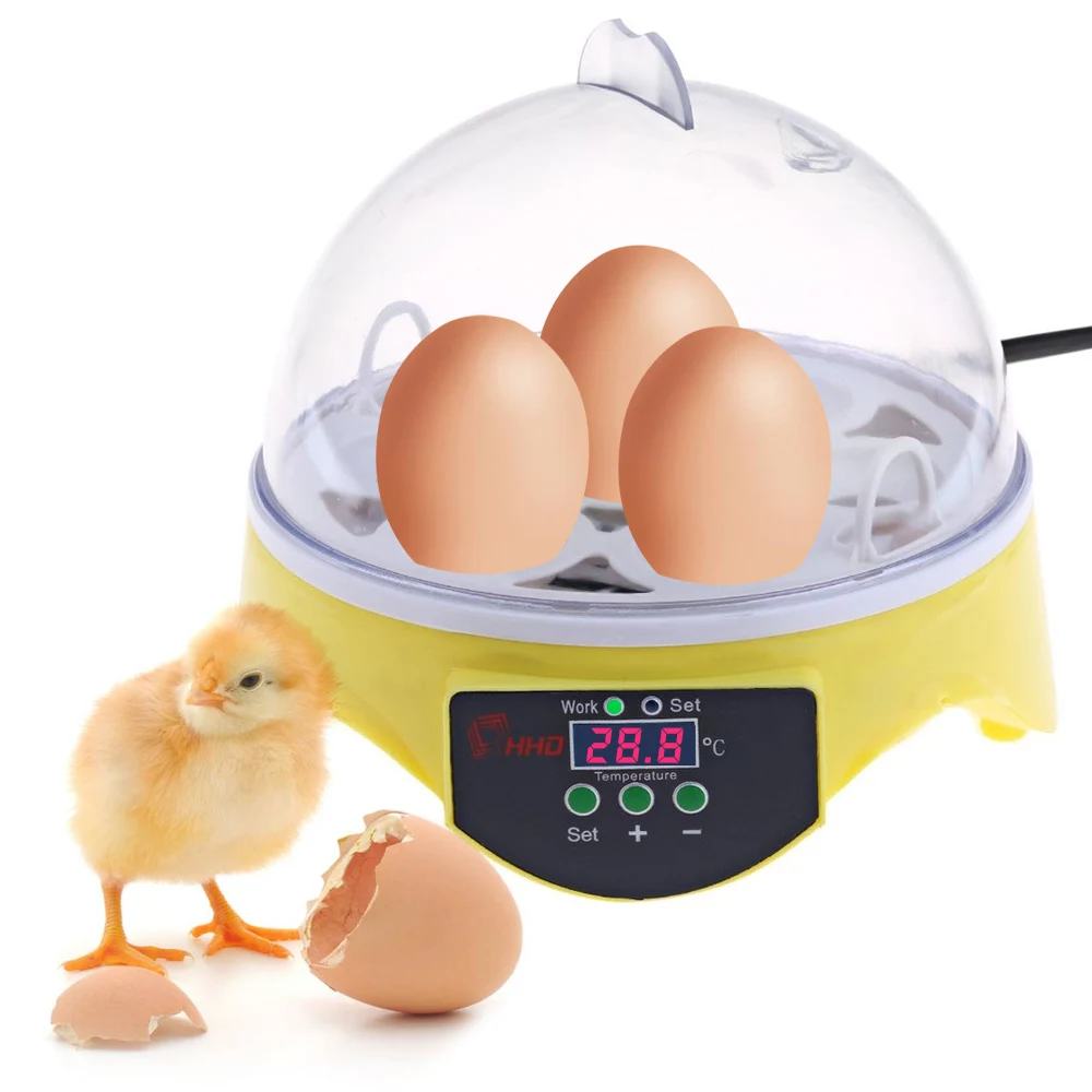 

7PCS Eggs Automatic Poultry Mini Incubator Temperature Control Automatic Poultry Bird Pet Hatcher Chicken Hatcher Machine