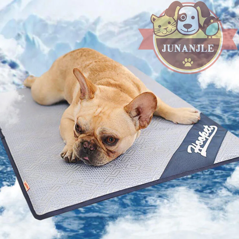 peluche de perro pitbull