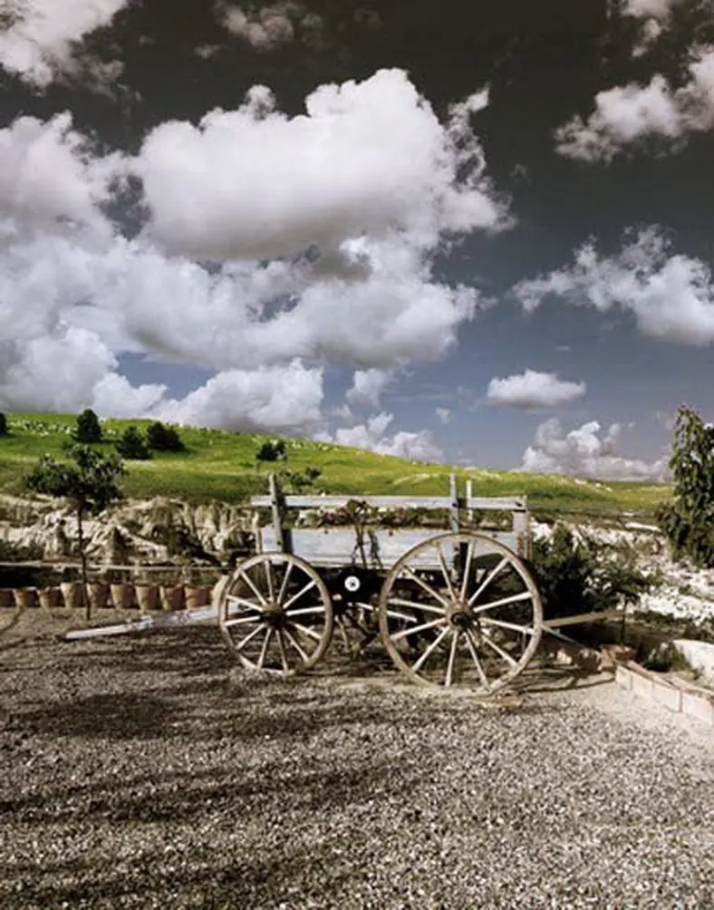 

Meadow Tree Old Carriage Photography Backdrops Photo Props Studio Background 5x7ft
