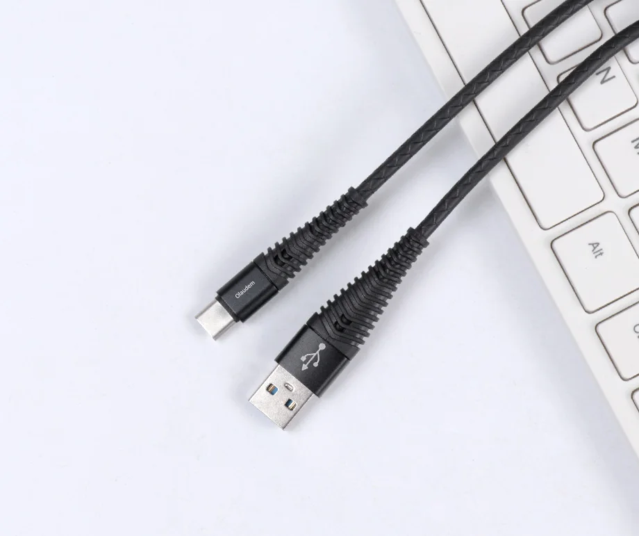 USB C Cable (10)