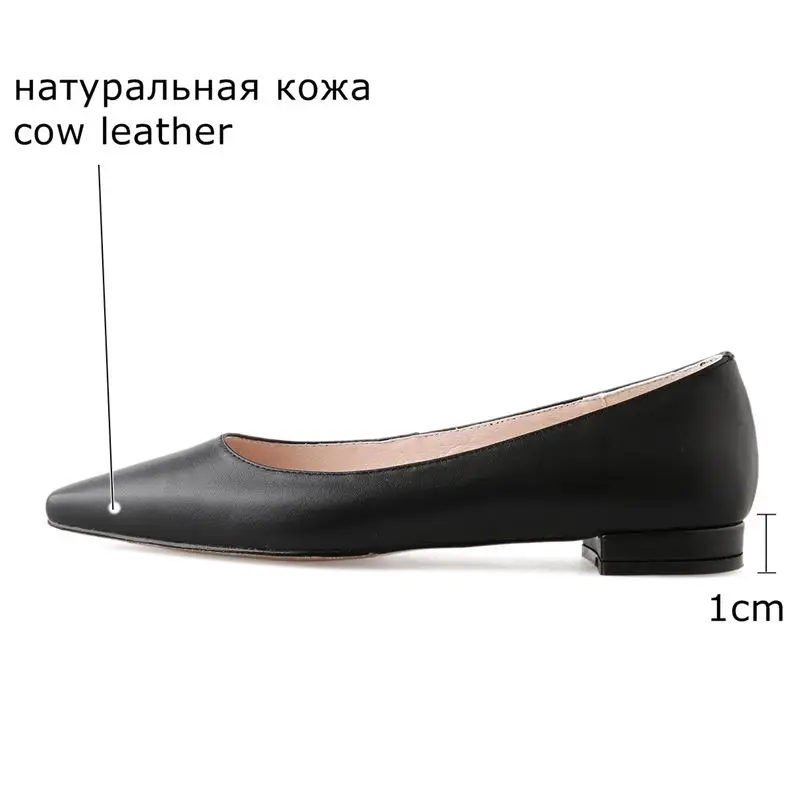 cb__29_-20190129