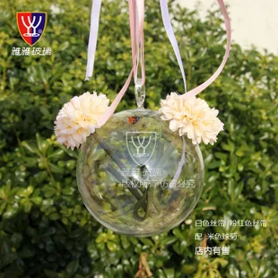 

8piece DIA 8CM Hanging Round Glass Air Plant Terrariums Balls Flower Globe Vase Home Decor Exquisite Wedding Decorations