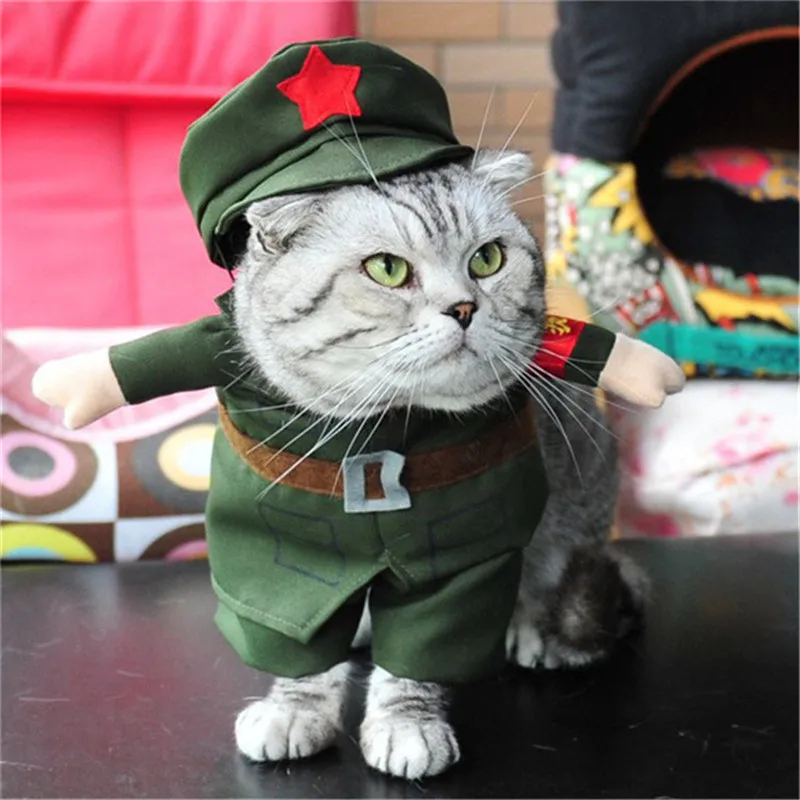 PipiFren Одежда для кошек домашних животных наряжаться товары собак костюмы