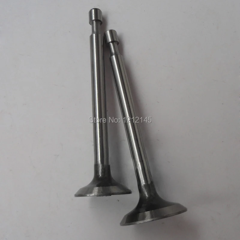 EY20 167F Engine Intake Exhaust Valve For RGX2400 Robin Generator Parts