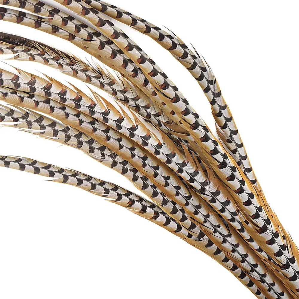 natural-venery-pheasant-feather-tail-vp70--n-alt2