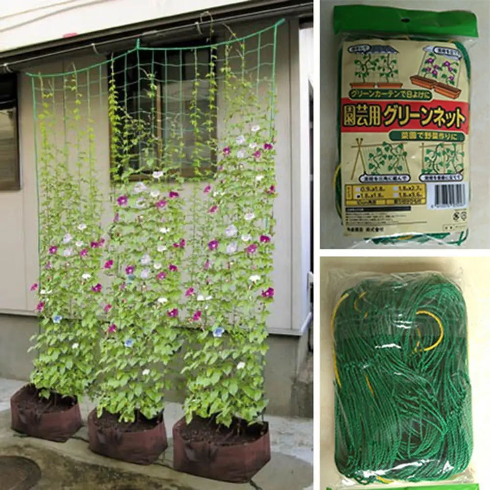 Environmentally Nylon Plant Net Melon Fruit Morning Glory Vine Net Plant Climbing Flower Vine Cucumber Trellis Netting