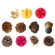 Натуральные сосновые шишки/фисташки/каштан реквизит DIY ремесла для вечерние украшения осенний Декор дисплей свадьба