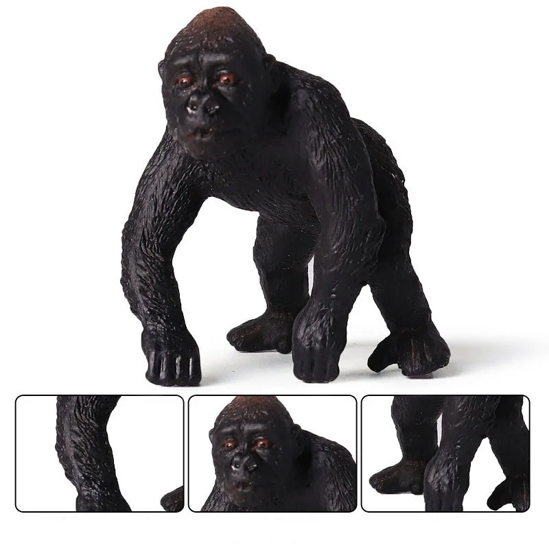 Gorilla (5)