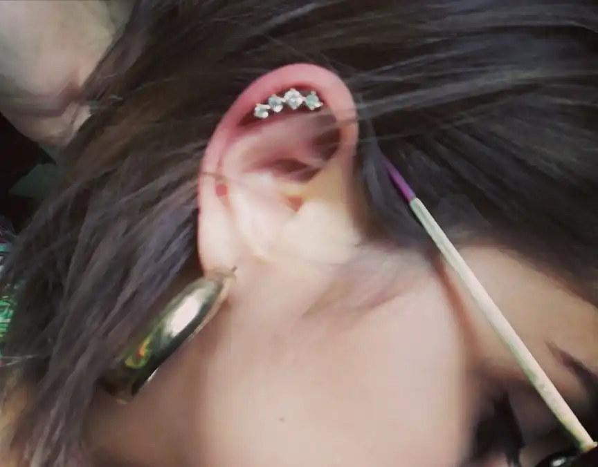 G23titan Fashion Woman Earrings Rose Gold Ear Tragus Cartilage Helix Piercing Studs 16g Titanium Labrets Barbell Body Jewelry