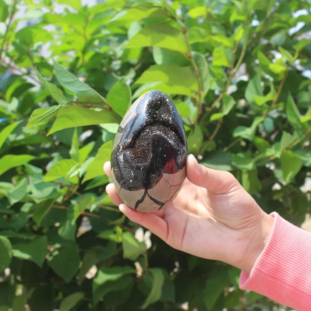 Best Offers 560g Natural curvature of the furnishing articles Turtle grain stone egg Ball Septarian nodule Fossil Crystal Healing quartz 50 Best Offers 560g Natural curvature of the furnishing articles Turtle grain stone egg Ball Septarian nodule Fossil Crystal Healing quartz 50