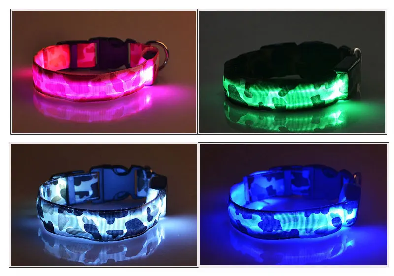 Collar luminous
