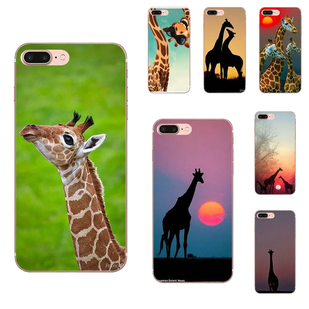 

For Galaxy Alpha Core Note 2 3 4 S2 A10 A20 A20E A30 A40 A50 A60 A70 M10 M20 M30 On Sale Sun Glasses Giraffe