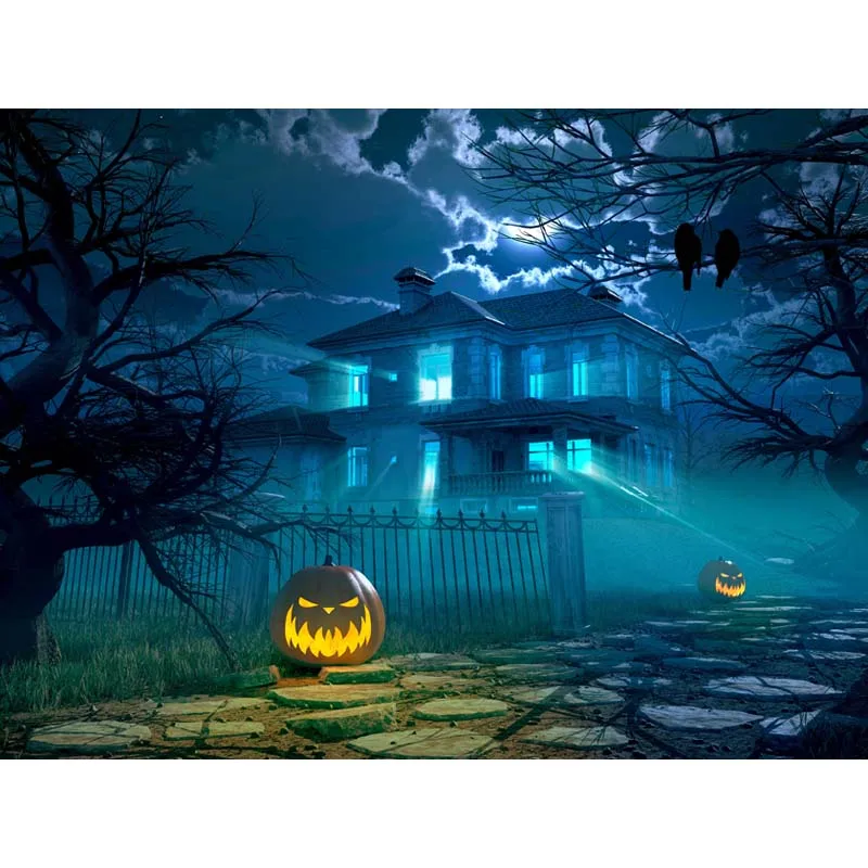 

Halloween theme Vinyl Custom Photography Backdrop Prop Photo Studio Backgrounds HA-231