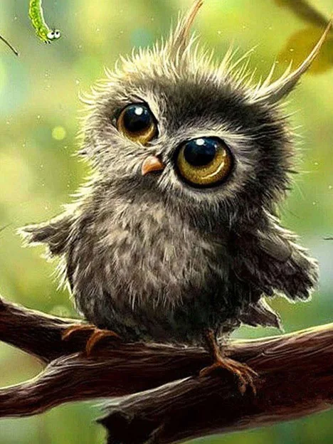 HOMFUN-Full-Square-Round-Drill-5D-DIY-Diamond-Painting-Cartoon-animal-owl-3D-Embroidery-Cross-Stitch.jpg_640x640 (2)