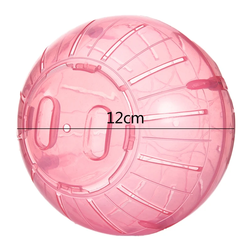 Dog Exercise Wheels Online degrees