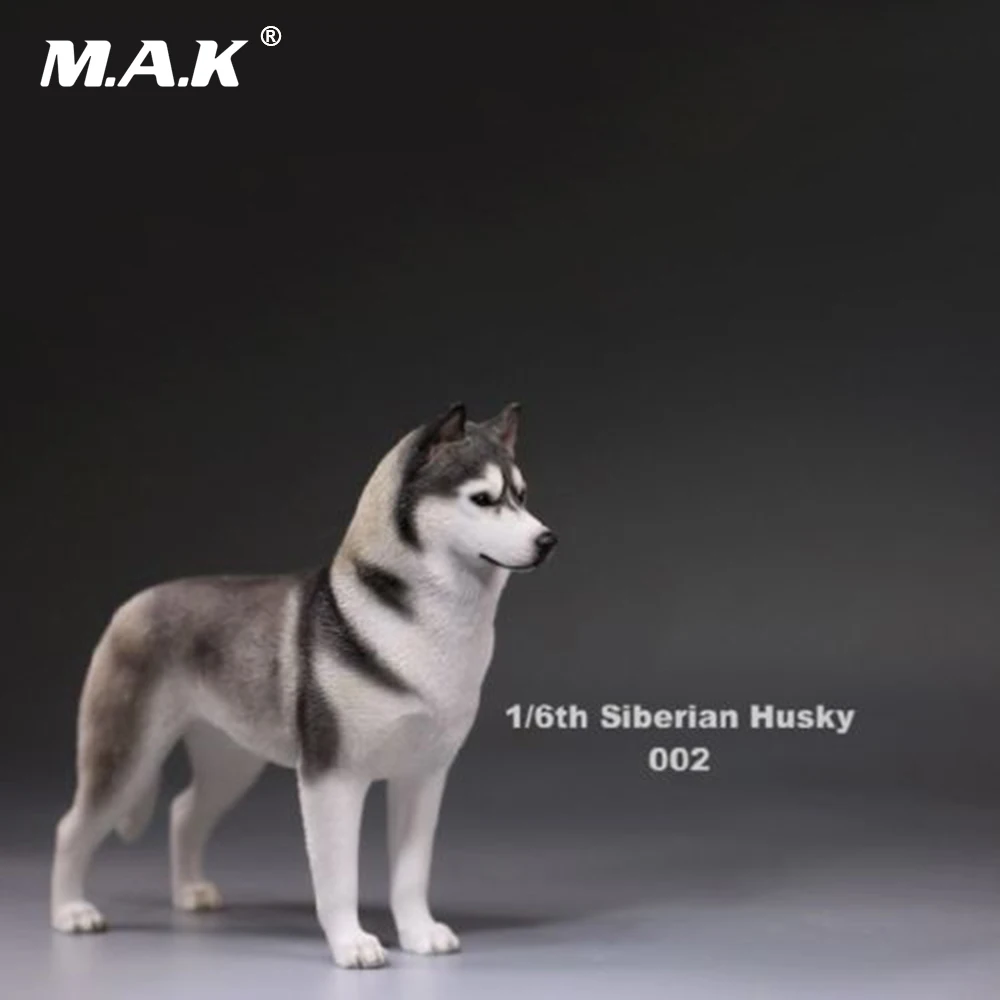 В наличии 1/6 фигурку аксессуар Сибирского Хаски моделирование Животные XVI 002