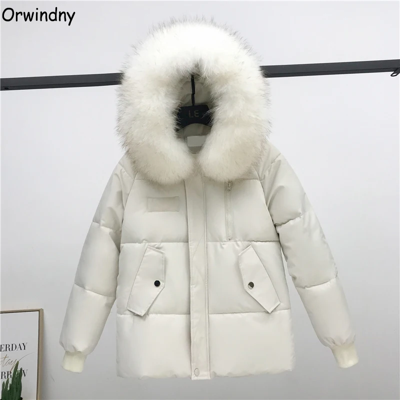 

Orwindny Regular Women's Down Cotton Jacket Coat 2019 New Fashion Hooded Female Jacket Thick Warm Parkas Lady casaco feminino