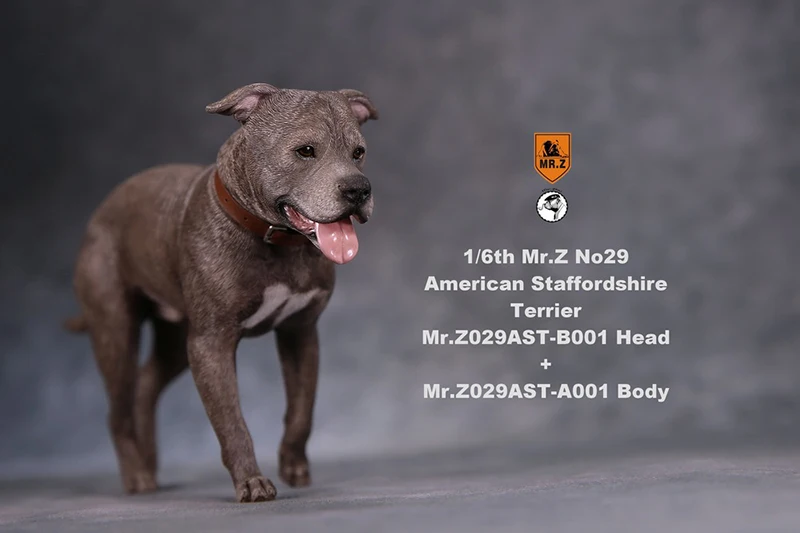 Для коллекции 1/6 Scale Scene аксессуары Mr. Z Animal Модель NO. 29: американский стаффордширский терьер положения с сменная голова
