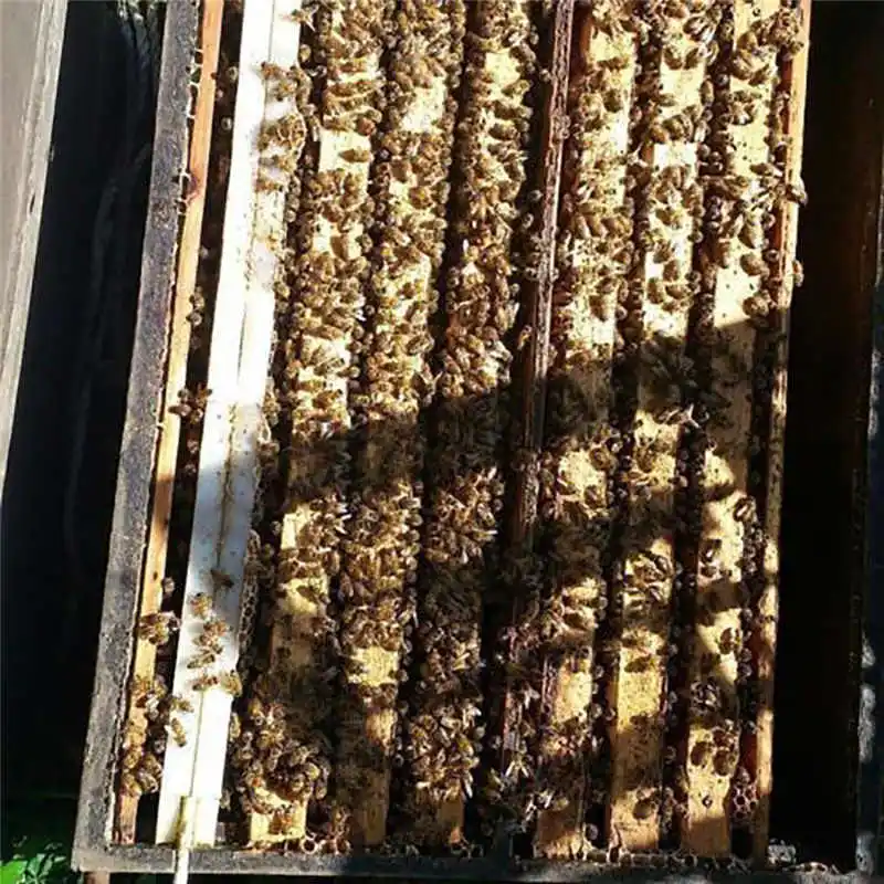 Деревянная пчелиная рамка в виде пчелиного улья держатель подъемника ручка для пчеловодов пчеловодства оборудование захвата рукоятка инструменты@ 15