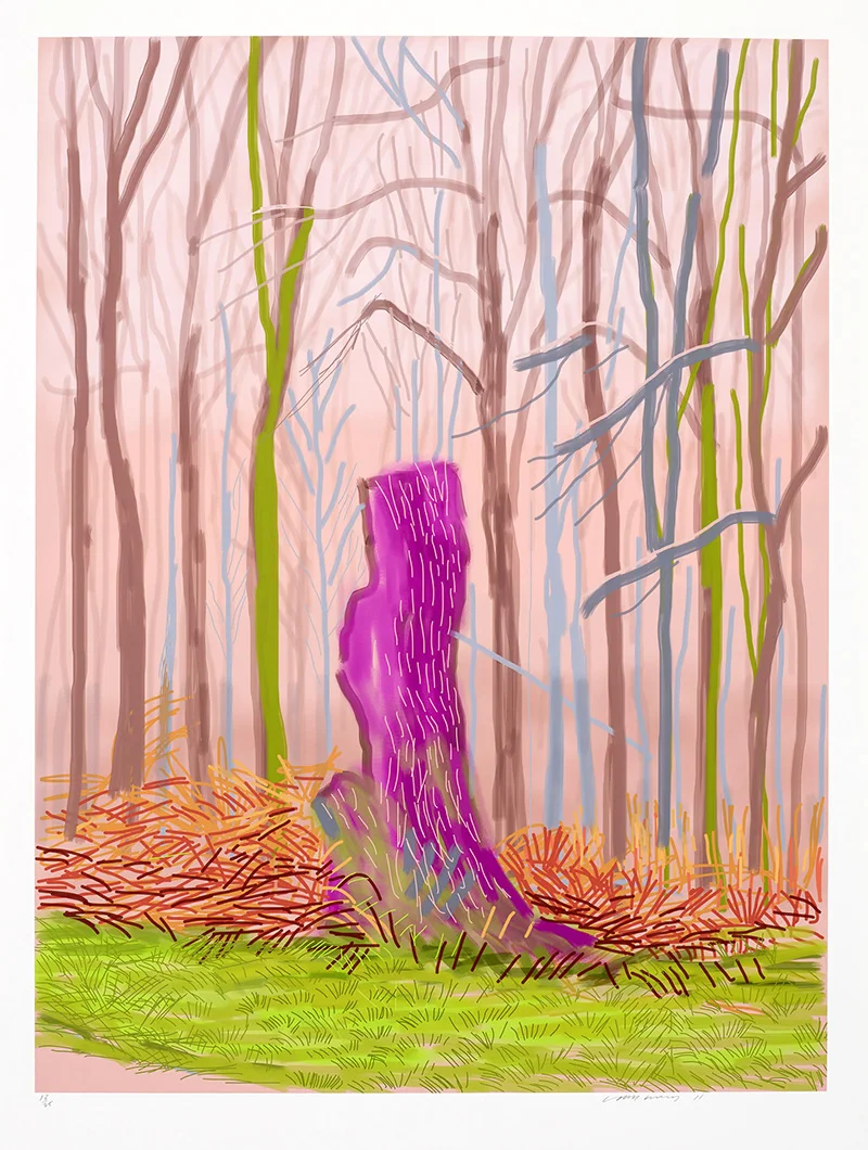 2011The Arrival of Spring in Woldgate, East Yorkshire(iPad drawing printed)8