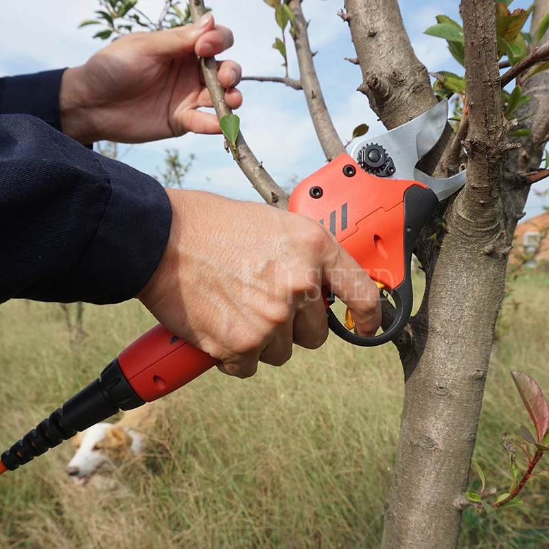 Лучший Электрический секатор с литиевой батареей CE|electric pruning|electric pruning shearspruning shears