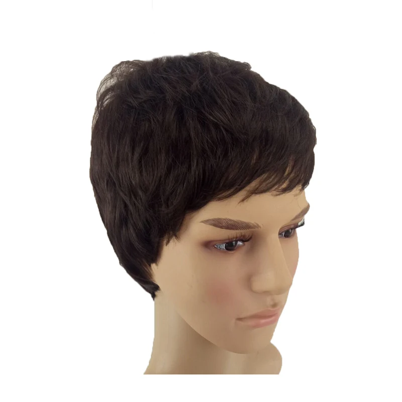 HAIRJOY синтетические волосы парики для мужчин короткие прямые парик термостойкие 2 цвета доступны