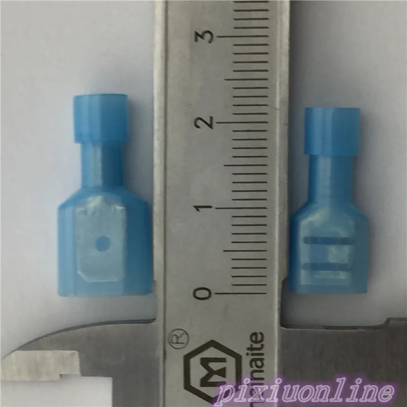 G11 (5)