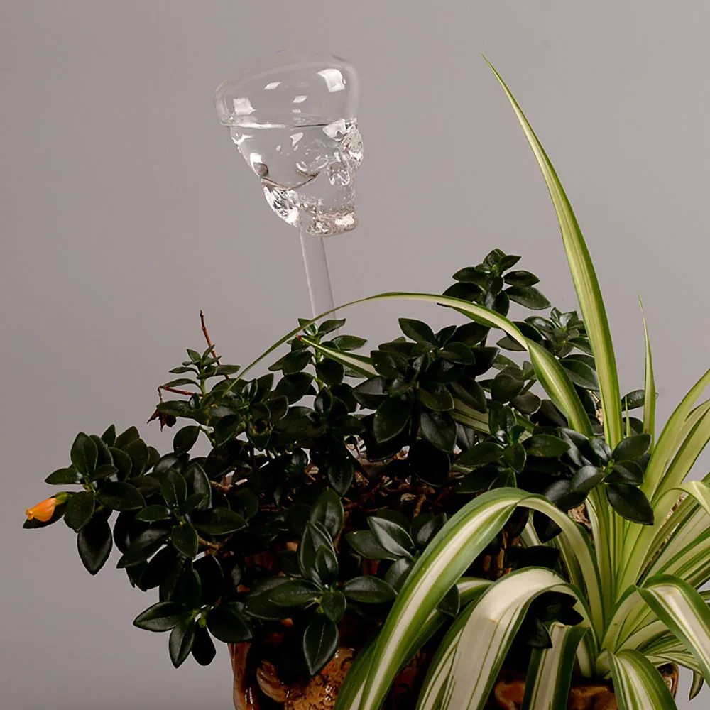 

Indoor Automatic Skull Glass Garden Plant Watering Device Sprinkler Water Cans Glass Clear Bird Shape Watering Sprinklers Device