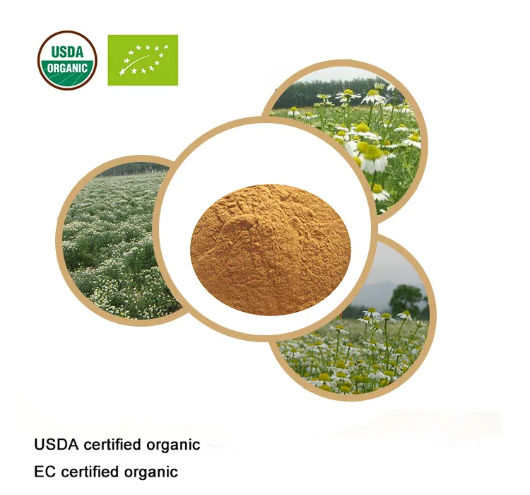 USDA и EC сертифицированный органический экстракт ромашки 20:1