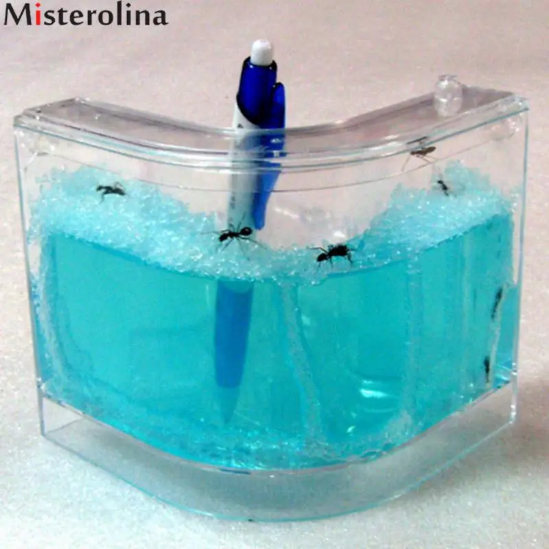 Misterolina Blue Ant Farm Plastic Advanced Nursery Ant Farm Nest Maze