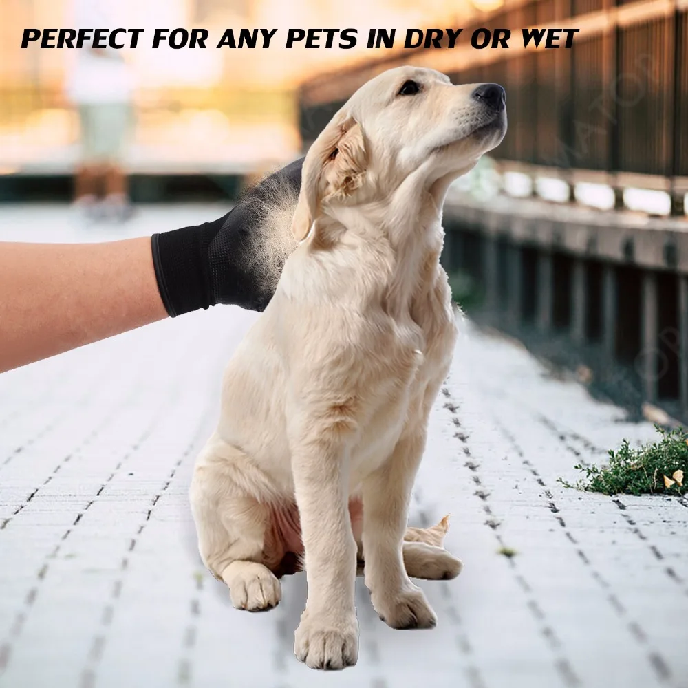 Pet Glove (1)