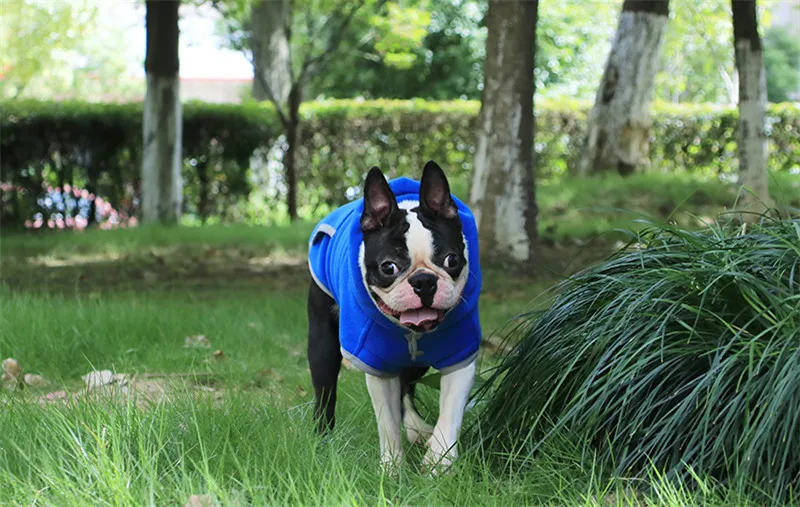 Dog Clothes Spring (16)