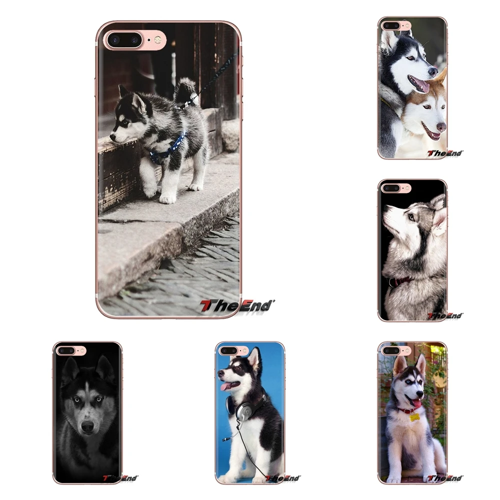 

Husky puppy Siberian Huskies Dogs Silicone Phone Cover Bag For iPod Touch Apple iPhone 4 4S 5 5S SE 5C 6 6S 7 8 X XR XS Plus MAX