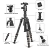 ZOMEI Z699C Professional Portable Travel Carbon fiber camera Tripod Monopod+Ball head for Digital SLR DSLR Camera ► Photo 3/6